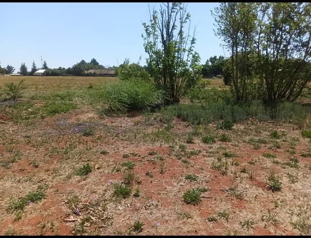 540M² VACANT LAND FOR SALE IN KOOKRUS